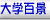 wSi